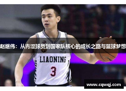 赵继伟：从青涩球员到国家队核心的成长之路与篮球梦想